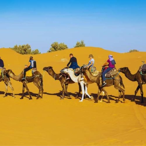 10-day morocco desert trip from Agadir to Tangier