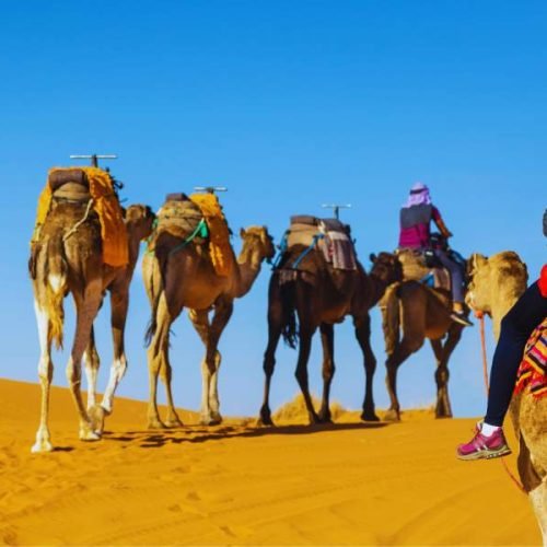 7-Day Morocco Sahara Desert Tour from Nador to Marrakech