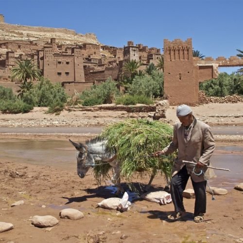 10 days tour from tangier to marrakech via desert