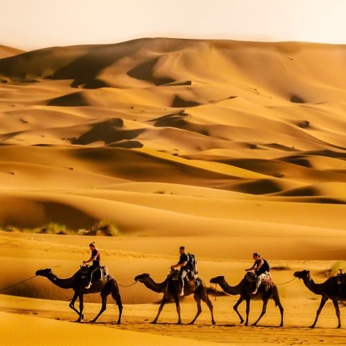 Marrakech to Tangier desert tour 8 days